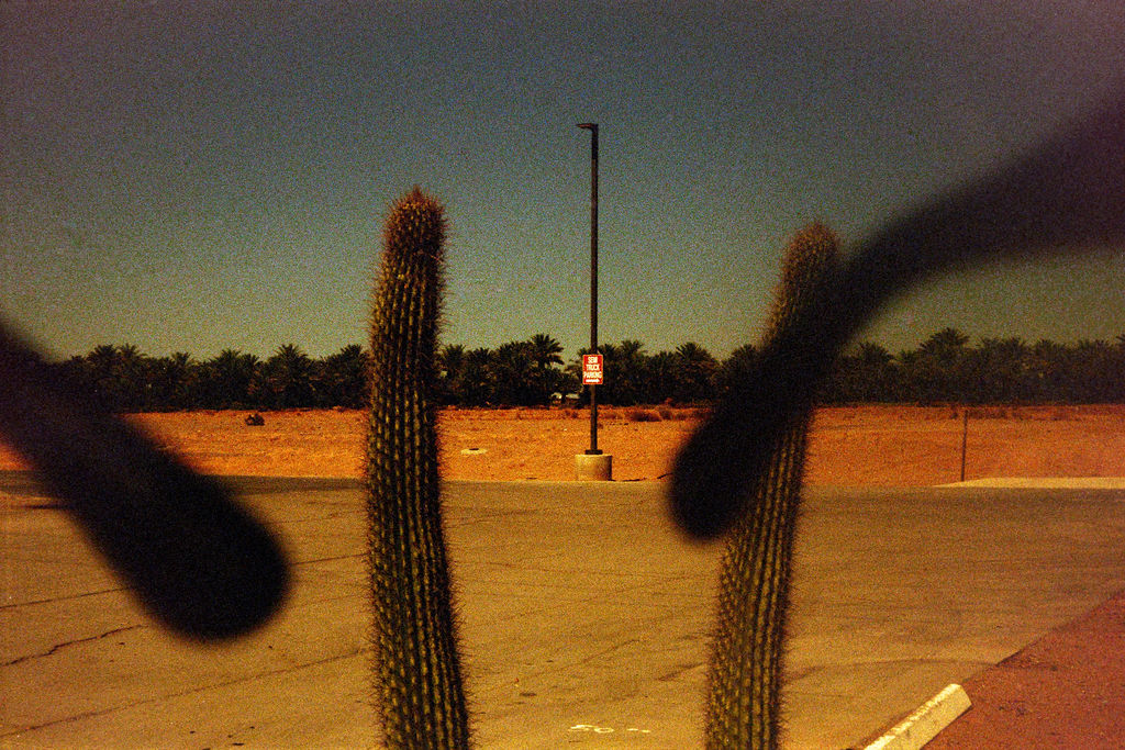 Analog on the Road 84