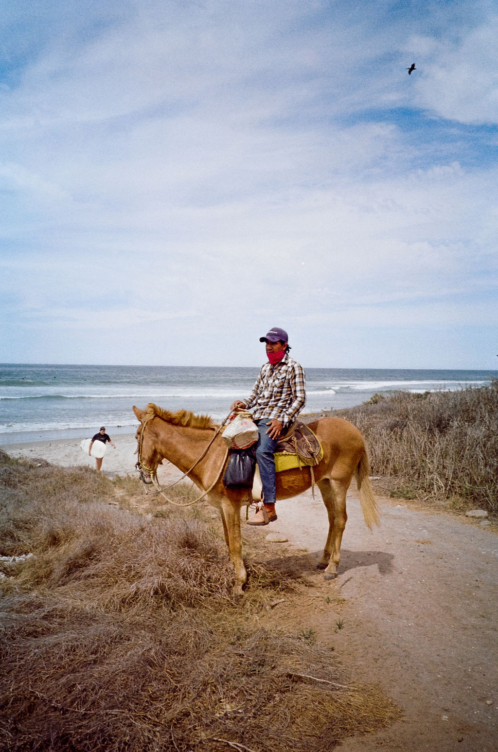Análogo Playero 30