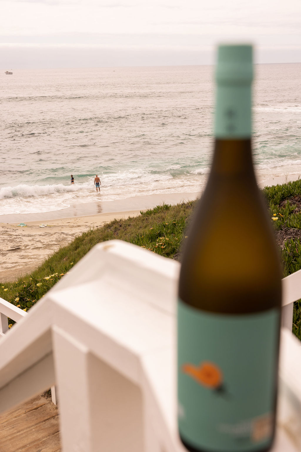 NAMI California 20