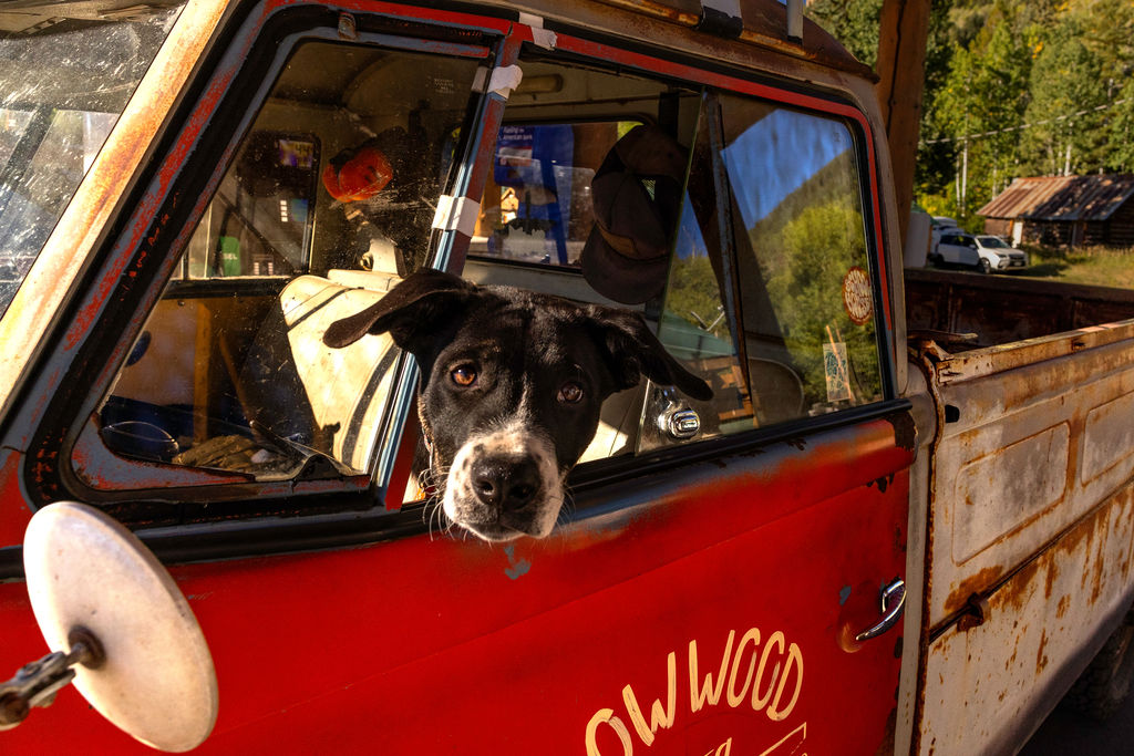 Sindicato on the Road 73